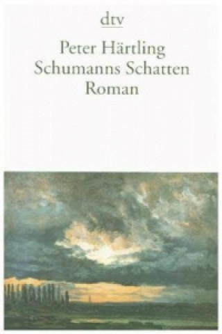 Книга Schumanns Schatten Peter Härtling