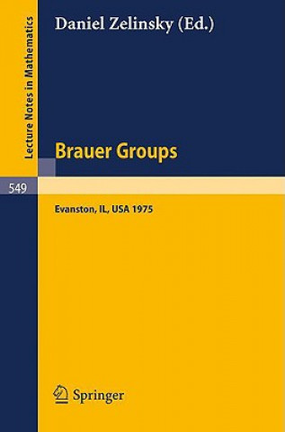 Książka Brauer Groups D. Zelinsky