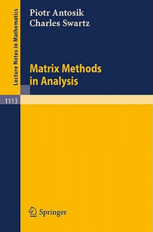Knjiga Matrix Methods in Analysis Piotr Antosik