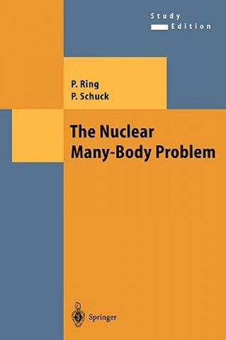 Könyv Nuclear Many-Body Problem Peter Ring