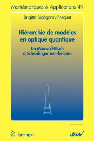 Könyv Hiérarchie de modèles en optique quantique Brigitte Bid garay-Fesqu