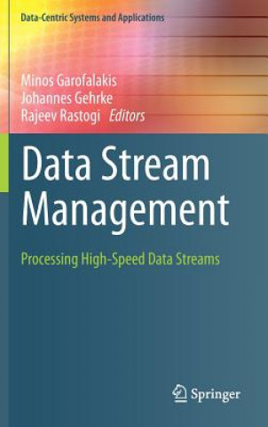 Kniha Data Stream Management Minos Garofalakis