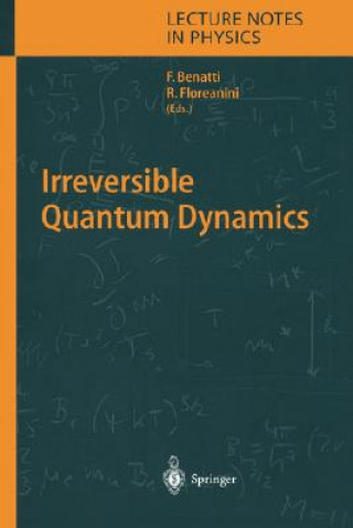 Książka Irreversible Quantum Dynamics Fabio Benatti