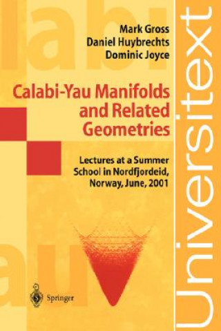 Könyv Calabi-Yau Manifolds and Related Geometries Mark Gross