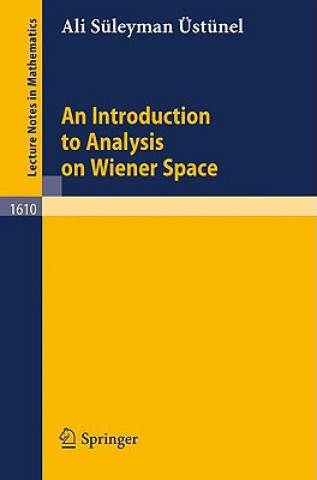 Könyv An Introduction to Analysis on Wiener Space Ali S. stünel