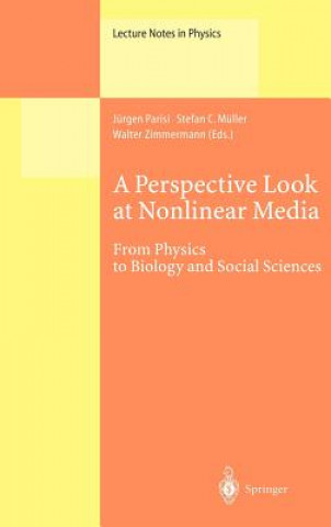 Livre Perspective Look at Nonlinear Media H. Araki