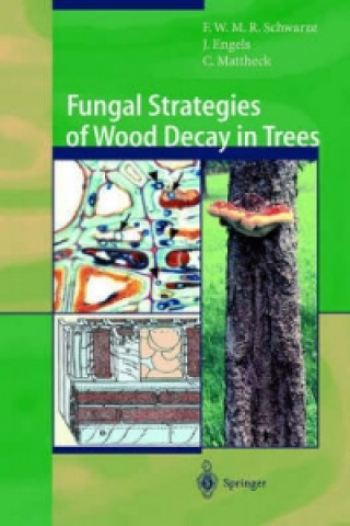 Kniha Fungal Strategies of Wood Decay in Trees Julia Engels