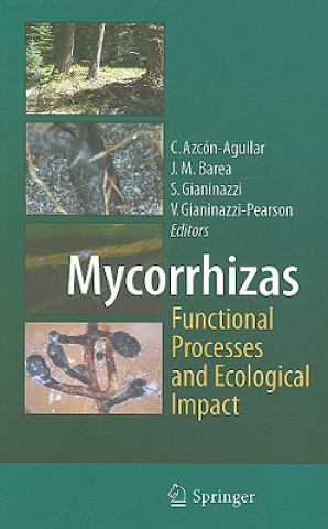 Kniha Mycorrhizas - Functional Processes and Ecological Impact Concepcion Azcon-Aguilar
