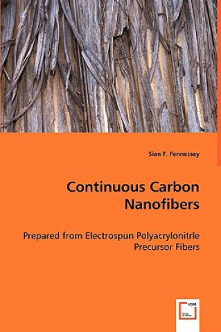 Carte Continuous Carbon Nanofibers Sian F. Fennessey