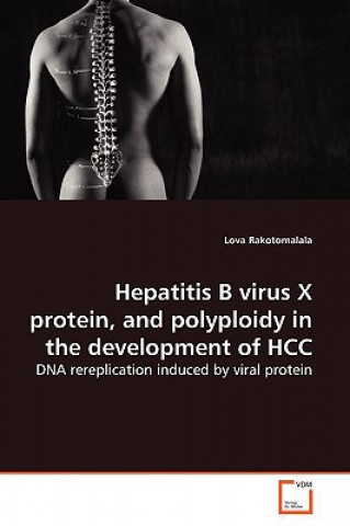 Könyv Hepatitis B virus X protein, and polyploidy in the development of HCC Lova Rakotomalala