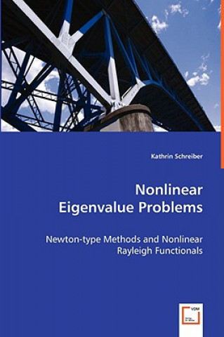 Buch Nonlinear Eigenvalue Problems Kathrin Schreiber