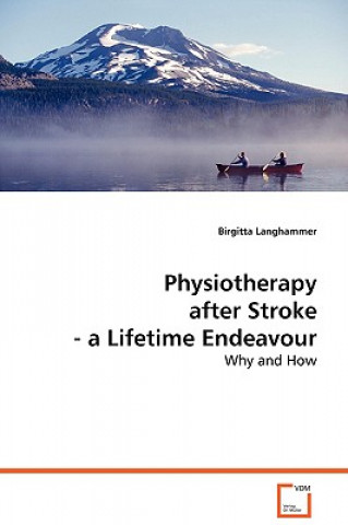 Kniha Physiotherapy after Stroke Birgitta Langhammer