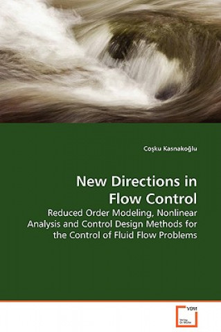 Könyv New Directions in Flow Control - Reduced Order Modeling, Nonlinear Analysis and Control Design Methods for the Control of Fluid Flow Problems Co Ku Kasnako Lu