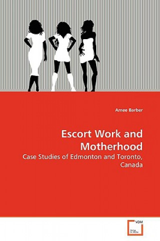 Kniha Escort Work and Motherhood Amee Barber