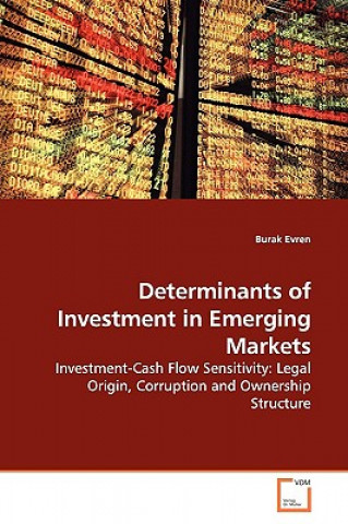 Könyv Determinants of Investment in Emerging Markets Burak Evren