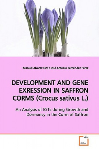 Książka DEVELOPMENT AND GENE EXRESSION IN SAFFRON CORMS (Crocus sativus L.) Manuel Alvarez Orti