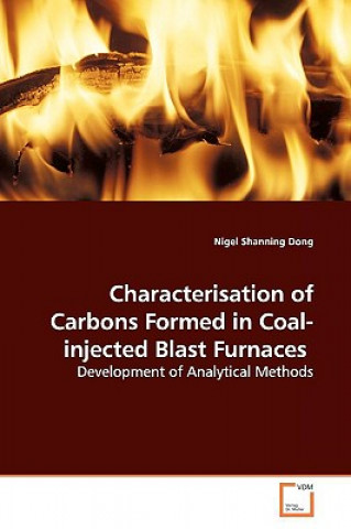Kniha Characterisation of Carbons Formed in Coal-injected Blast Furnaces Nigel Shanning Dong