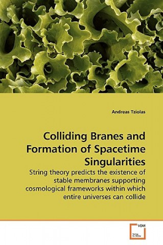 Livre Colliding Branes and Formation of Spacetime Singularities Andreas Tziolas