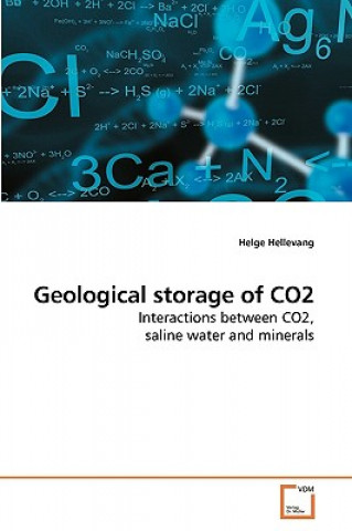 Knjiga Geological storage of CO2 Helge Hellevang