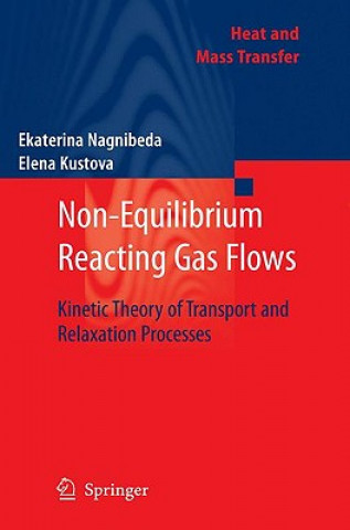 Kniha Non-Equilibrium Reacting Gas Flows Ekaterina Nagnibeda