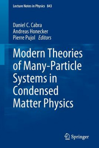 Könyv Modern Theories of Many-Particle Systems in Condensed Matter Physics Cabra