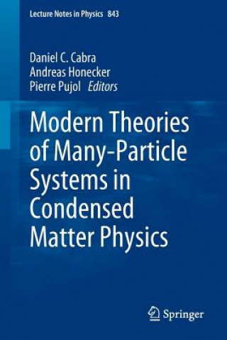 Książka Modern Theories of Many-Particle Systems in Condensed Matter Physics Cabra