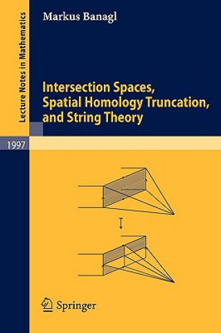 Kniha Intersection Spaces, Spatial Homology Truncation, and String Markus Banagl