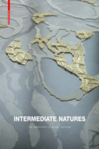 Könyv Intermediate Natures Gilles A Tiberghien