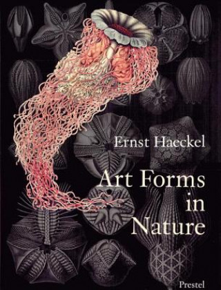 Book Art Forms in Nature Olaf Breidbach