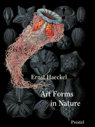 Carte Art Forms in Nature Mini Ernst Haeckel