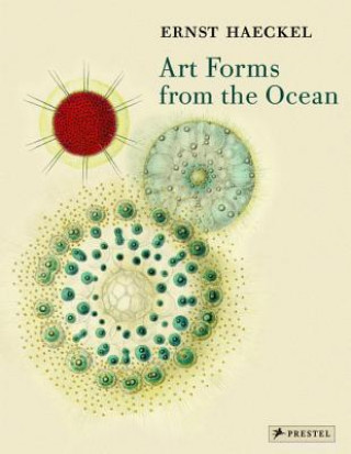 Kniha Art Forms from the Ocean Olaf Breidbach