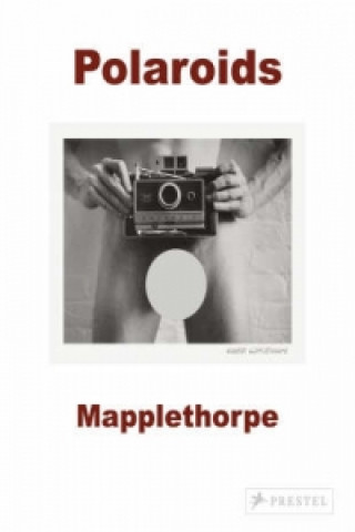 Kniha Mapplethorpe Sylvia Wolf