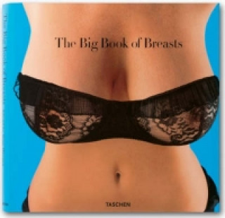 Könyv The Big Book of Breasts Dian Hanson