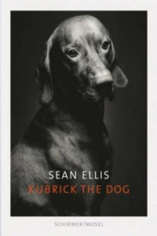 Kniha Sean Ellis: Kubrick the Dog Sean Ellis