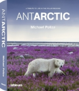 Kniha Antarctic Michael Poliza