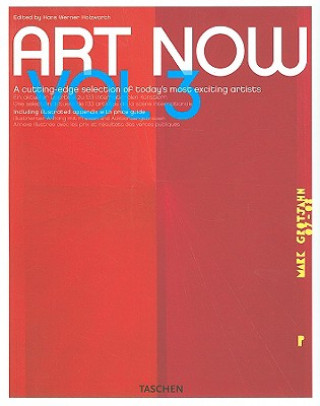 Kniha Art Now Hans Werner Holzwarth