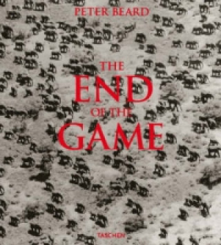 Livre End of the Game 