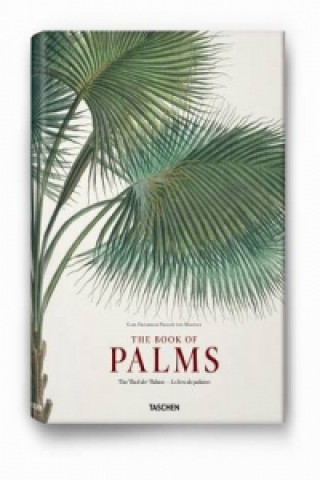 Carte The Book of Palms. Das Buch der Palmen. Le livre des palmiers H. Walter