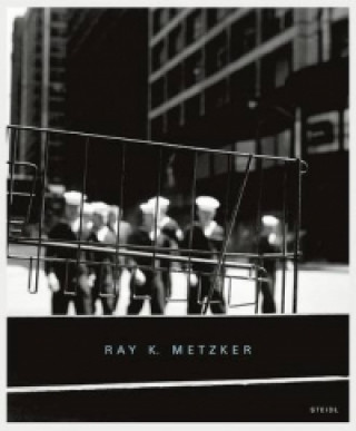 Buch Ray K. Metzker William Ewing