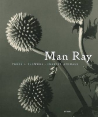 Könyv Man Ray Ray Man