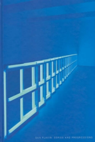 Buch Dan Flavin Dan Flavin