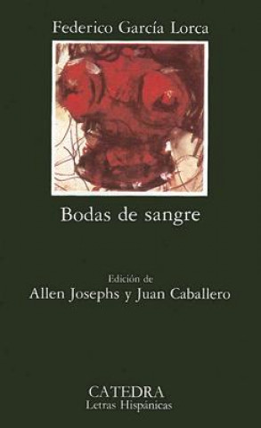 Kniha Bodas De Sangre Federico García Lorca