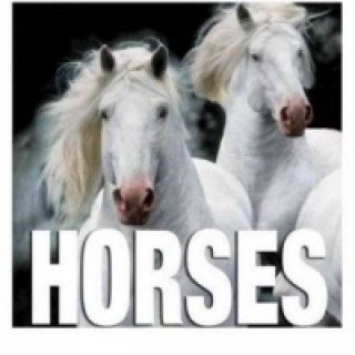 Libro Horses Alberto Bertolazzi