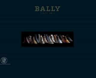 Kniha Bally Moreno Gentili