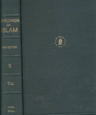 Book Encyclopaedia of Islam T H Bianquis