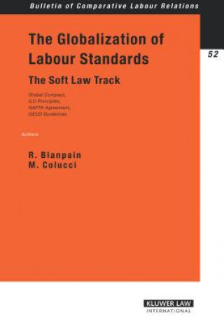 Kniha Globalization of Labour Standards Blanpain