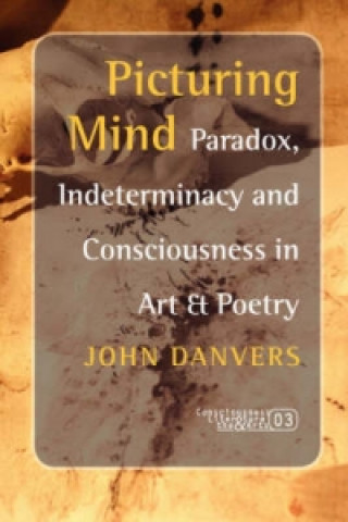 Knjiga Picturing Mind John Danvers