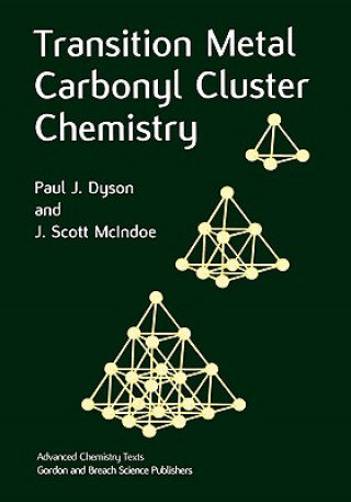 Kniha Transition Metal Carbonyl Cluster Chemistry Paul J Dyson