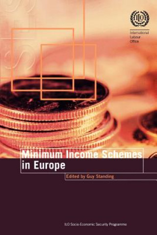 Kniha Minimum Income Schemes in Europe Guy Standing