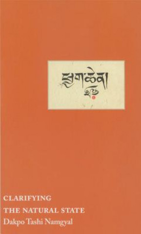 Könyv Clarifying the Natural State TakpoTashi Namgyal